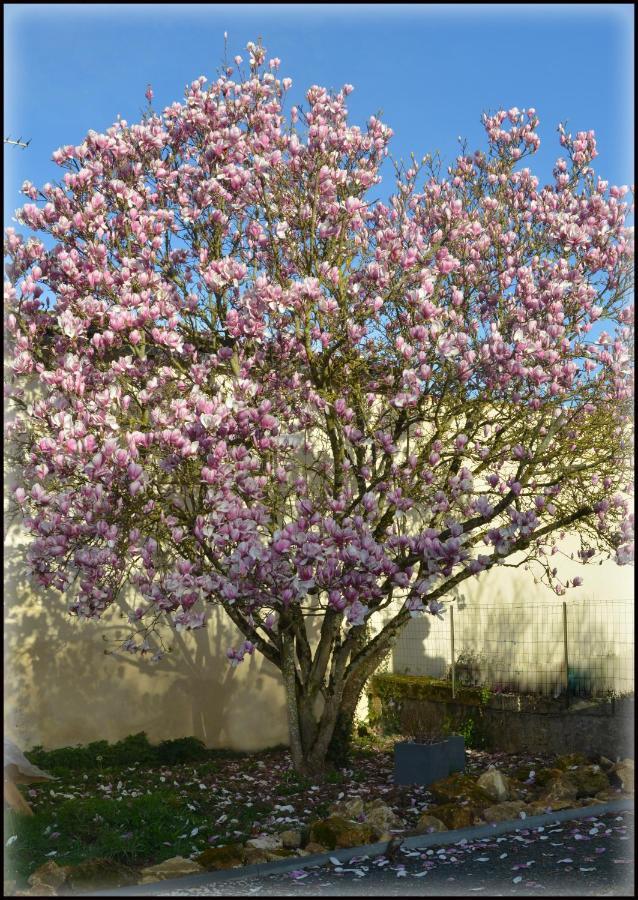 Gites Jardin-Darcy Bois Exterior photo